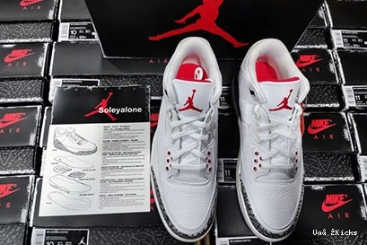 Flexible Reimagined 393 DN3707-100 Cement Retro Jordan 3 White 0926